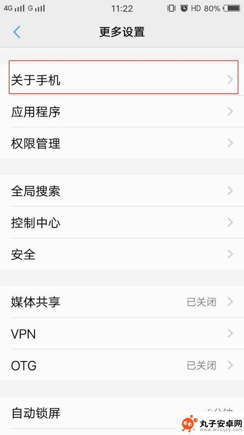 vivo手机开发者模式怎么开启 VIVO手机开发者模式怎么打开