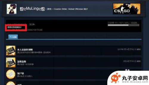 steam成就在哪里看 STEAM游戏成就怎么查看