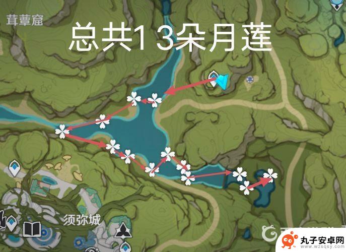 原神须弥水域月莲怎么采 原神须弥的月莲在哪个区域采集