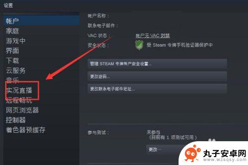 主播steam控制设置 Steam如何开直播教程