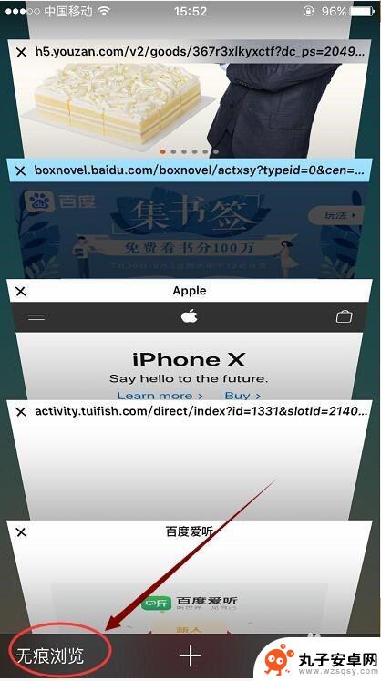 如何删除手机上网网址 iPhone手机如何清除Safari网页搜索历史记录