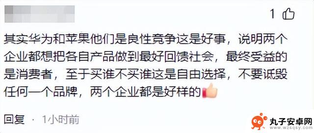 苹果手机降价策略在中国市场取得成功，重夺销量第一，引发评论区热议