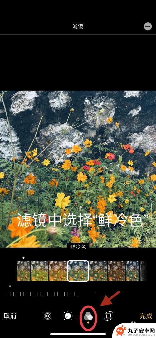 苹果手机怎么调油画滤镜 iPhone调色油画风滤镜效果