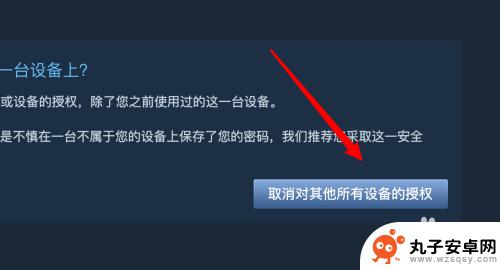 steam怎么在手机上取消电脑授权 Steam如何取消其他设备的授权