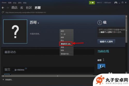 steam转链接 苏哥教你提取Steam个人链接步骤