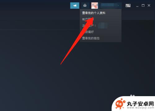 steam游戏运行记录 Steam如何查看最近玩过的游戏