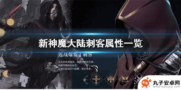 新神魔大陆中的刺客叫什么 刺客属性一览新神魔大陆