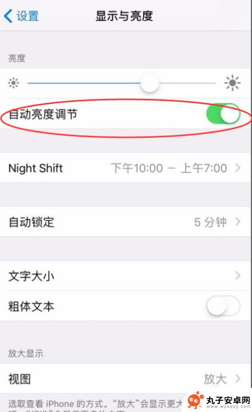 苹果手机怎么调整亮度设置 iPhone如何关闭自动亮度调节