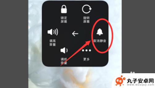 苹果12静音如何关闭手机 苹果12如何关闭静音模式