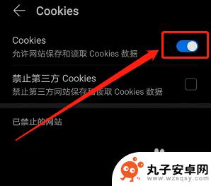 手机浏览器查看cookie 华为手机浏览器允许网站保存和读取Cookie操作指南