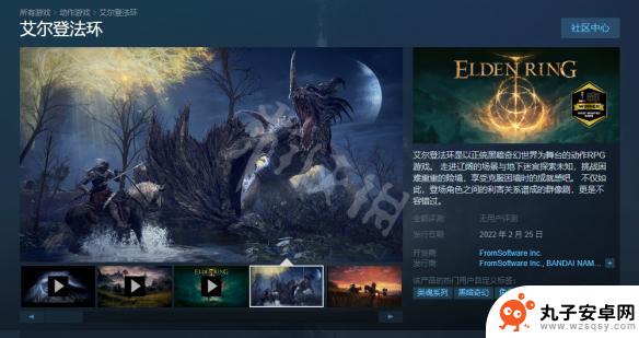 老头环steam steam平台上的艾尔登法环名字