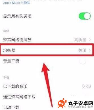 手机如何设置低音功能 iPhone 如何设置低音增强功能