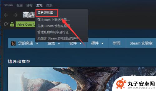 steam买了多少游戏 Steam怎么看自己拥有的游戏