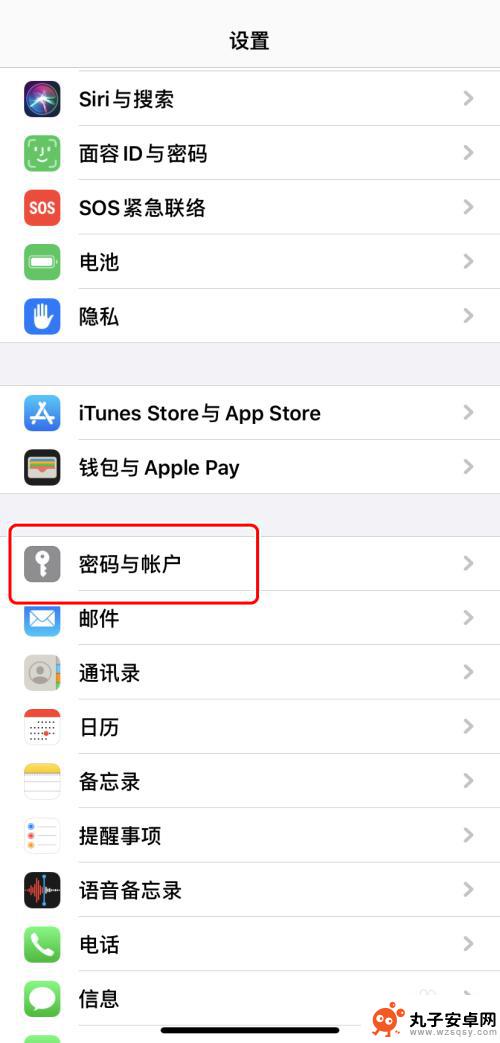 怎么看手机设置的密码问题 iPhone如何查看已保存的密码