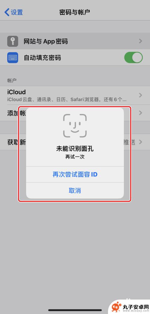 怎么看手机设置的密码问题 iPhone如何查看已保存的密码