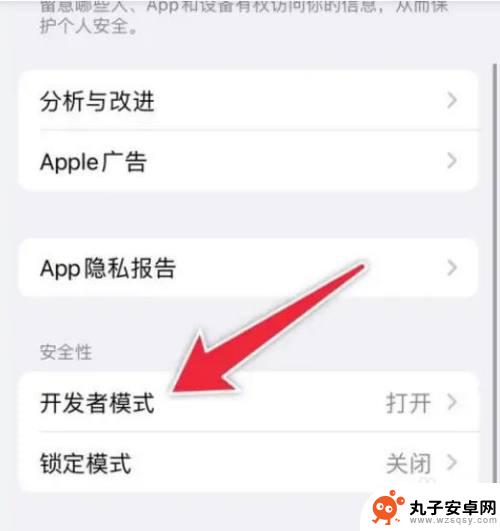 iphone13开发者模式怎么打开 iPhone开启开发者模式的步骤