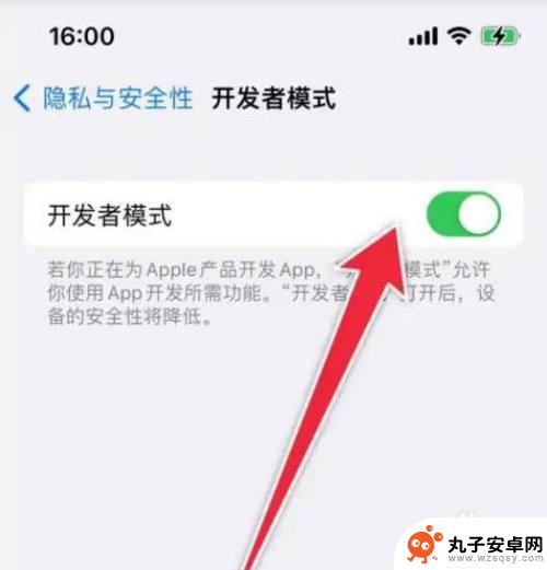 iphone13开发者模式怎么打开 iPhone开启开发者模式的步骤