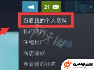 steam隐私中游戏详情设置 Steam怎么隐藏游戏不让好友看到