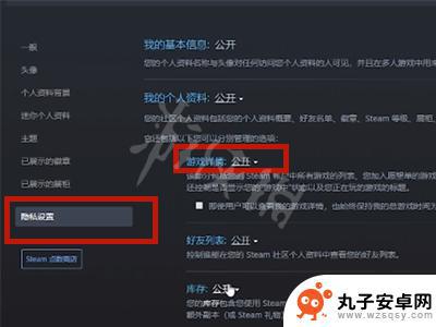 steam隐私中游戏详情设置 Steam怎么隐藏游戏不让好友看到