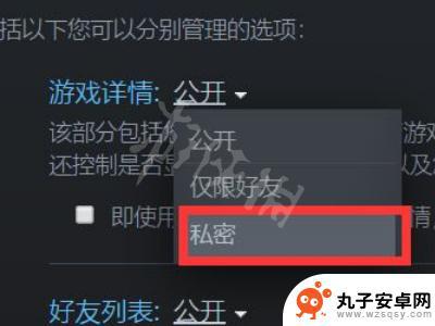 steam隐私中游戏详情设置 Steam怎么隐藏游戏不让好友看到