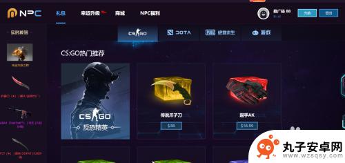 csgo国服与steam区别 csgo国服和steam区别是什么