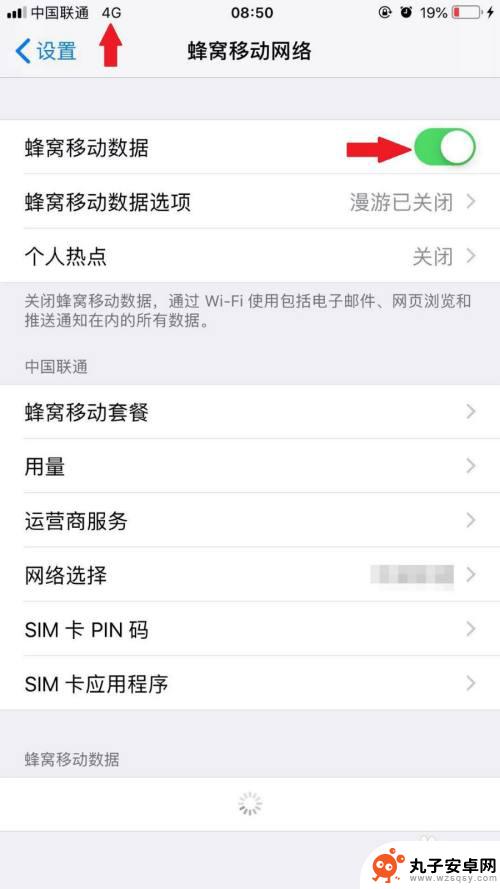 手机怎么蜂窝 iPhone手机如何设置蜂窝移动网络