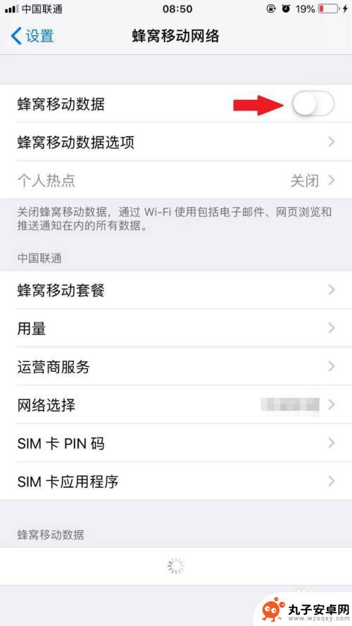 手机怎么蜂窝 iPhone手机如何设置蜂窝移动网络