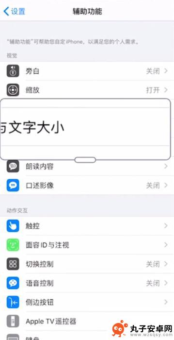 苹果手机程序怎么缩小 苹果手机图标变大后怎样缩小