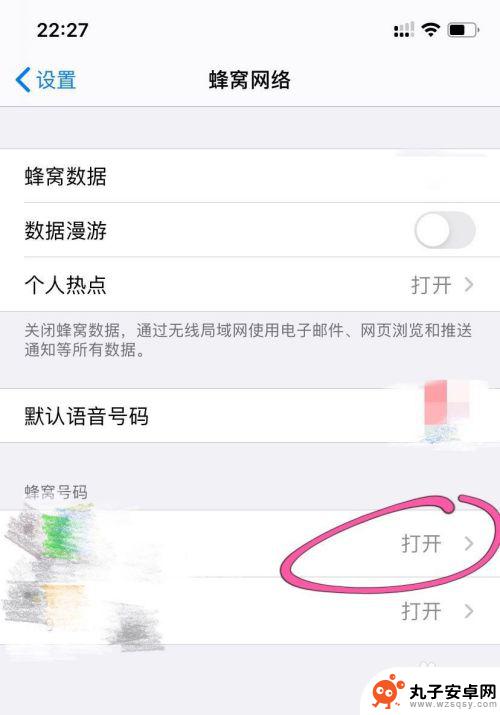 苹果手机怎么设置蜂窝号码标签 如何在iPhone 11上添加个性化蜂窝号码标签