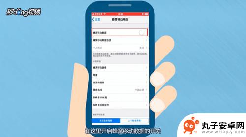 苹果手机卡怎么开启流量 iPhone手机数据流量的打开步骤