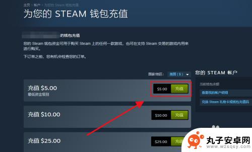 怎么给steam充值5美元 Steam如何充值5美元