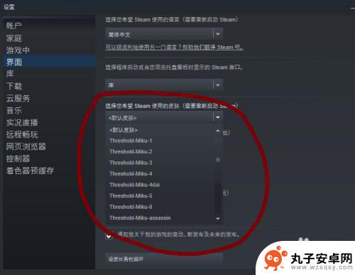 steam如何投皮肤 Steam皮肤自定义教程