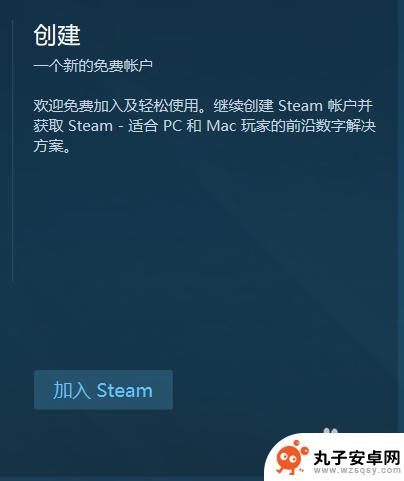 steam别的区的游戏怎么买 如何在Steam上购买游戏