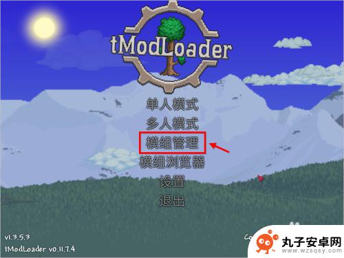 泰拉瑞亚如何直接添加模组 泰拉瑞亚tmodloader怎么安装mod插件