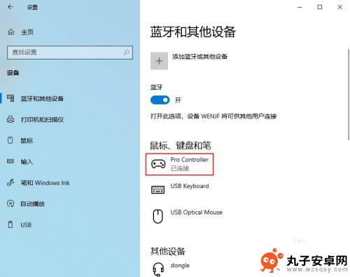 ns手柄怎么玩steam steam如何使用ns手柄进行游戏操作