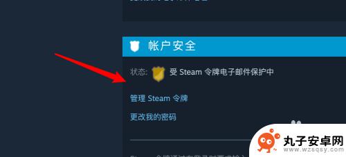 steam怎么移除其他设备授权 Steam如何取消其他设备的授权