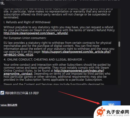 steam密码怎么设置安全 如何设置一个合格的Steam密码