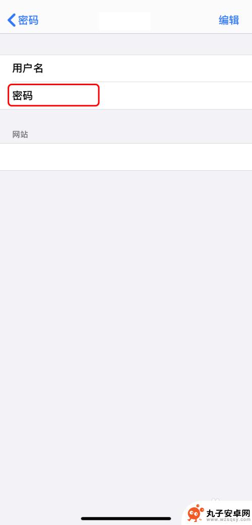 苹果手机网络密码怎么查看 iPhone如何查看已保存的密码