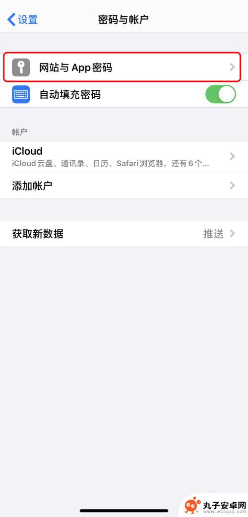 苹果手机网络密码怎么查看 iPhone如何查看已保存的密码