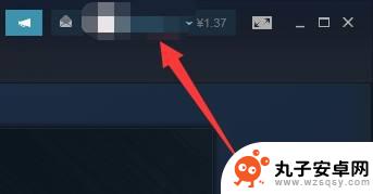 steam我的钱包在哪里 Steam钱包充值在哪
