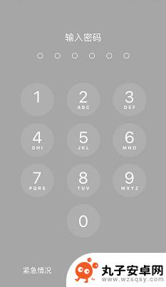 平果手机怎么改密码锁屏 苹果手机锁屏密码设置教程