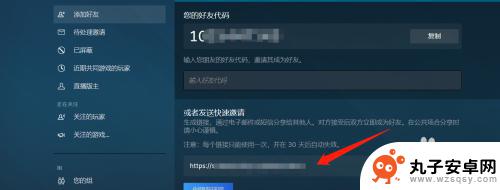 steam自己的好友链接怎么看 如何查看Steam好友的链接