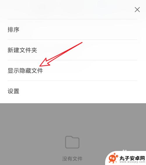 手机里的隐藏文件夹怎么显示 安卓手机如何查看隐藏文件