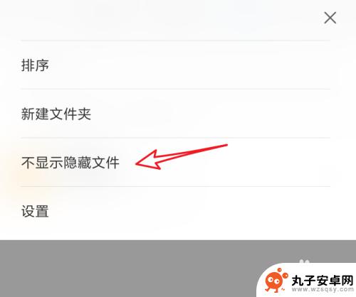 手机里的隐藏文件夹怎么显示 安卓手机如何查看隐藏文件