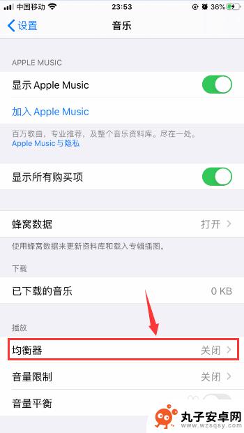 如何调理手机通话质量好 iPhone苹果手机通话音量增强技巧