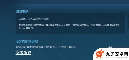 steam里怎么买到 Steam如何充值购买游戏