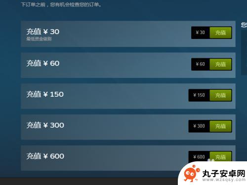 steam里怎么买到 Steam如何充值购买游戏