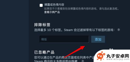 steam如何屏蔽游戏类型很重要 Steam怎样设置不显示某种类型的游戏