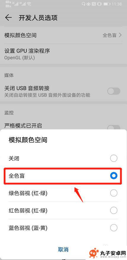 手机设置怎么设置出黑屏 华为手机黑白屏设置教程