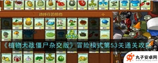 《植物大战僵尸杂交版》冒险模式53关攻略分享